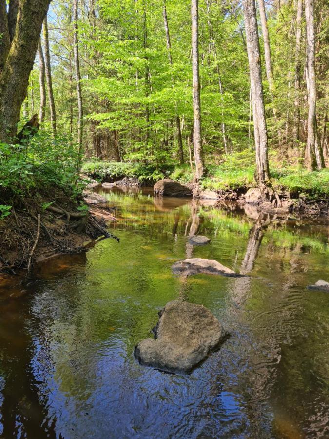 Byskolansvandrarhem Bronnestad Eksteriør bilde